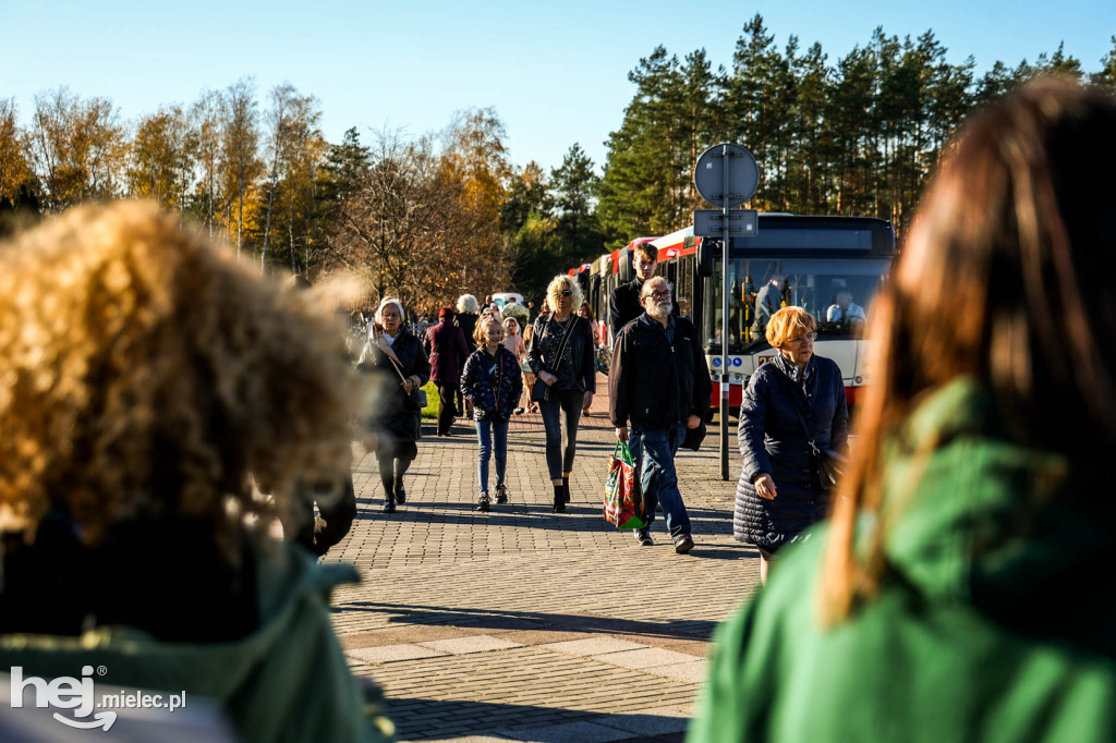 Wszystkich Świętych 2024: Cmentarz Komunalny