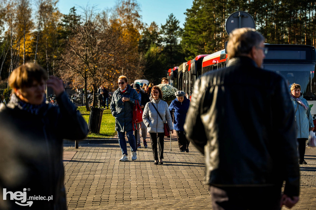 Wszystkich Świętych 2024: Cmentarz Komunalny