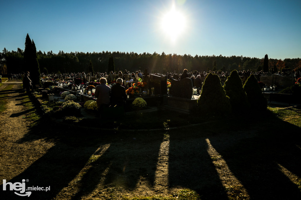 Wszystkich Świętych 2024: Cmentarz Komunalny