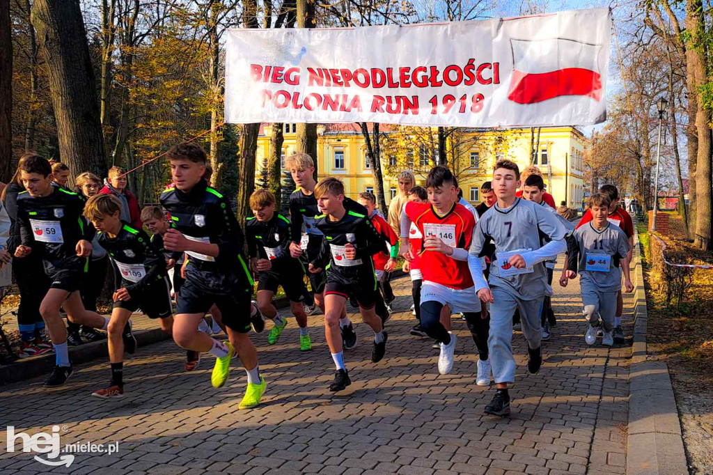 4. Bieg Niepodległości - Polonia Run w Rzemieniu