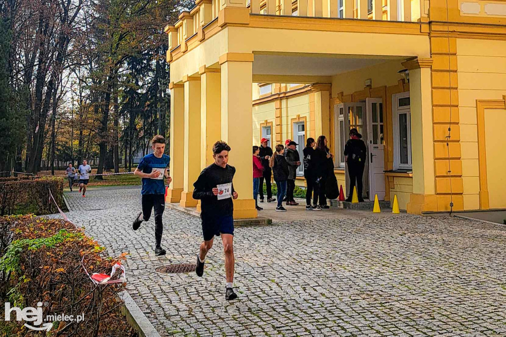 4. Bieg Niepodległości - Polonia Run w Rzemieniu