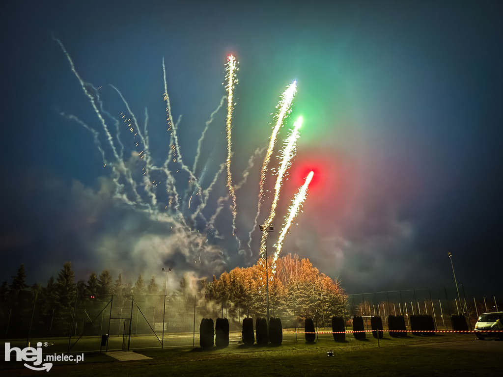 2. Fiesta Balonowa i Pokazy Laserowe w Radomyślu Wielkim