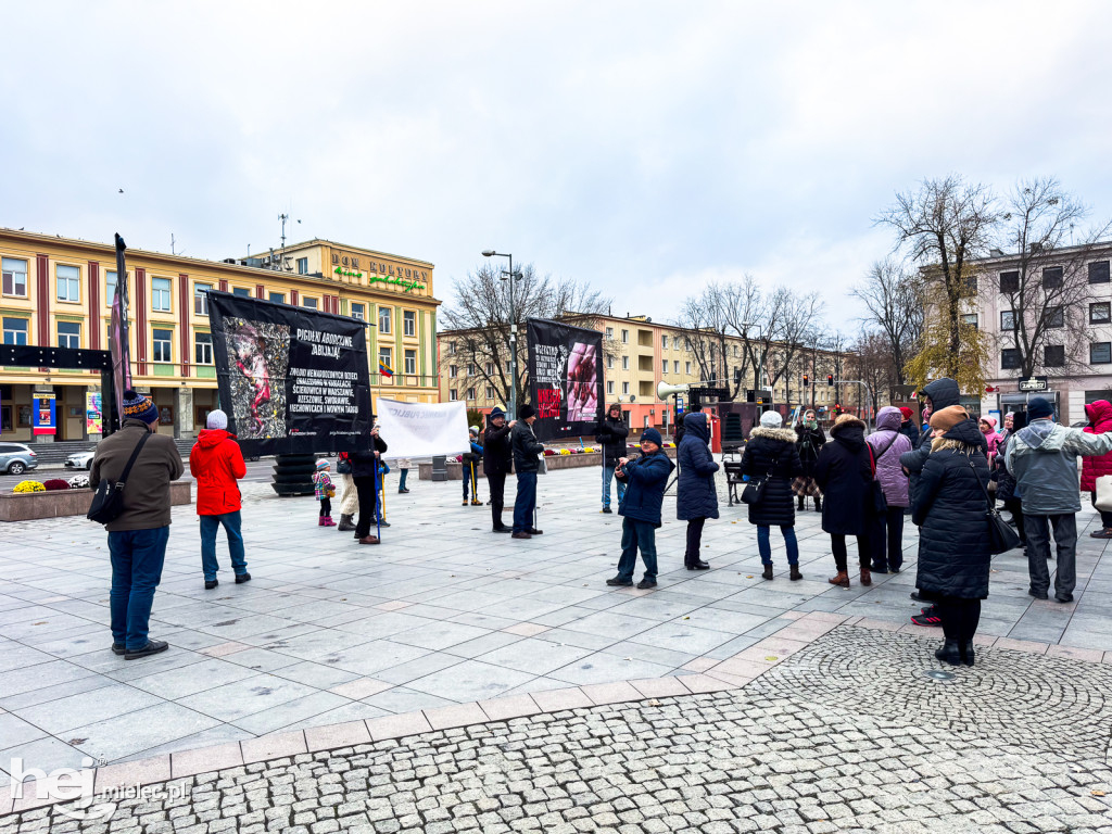 Publiczny Różaniec w Mielcu