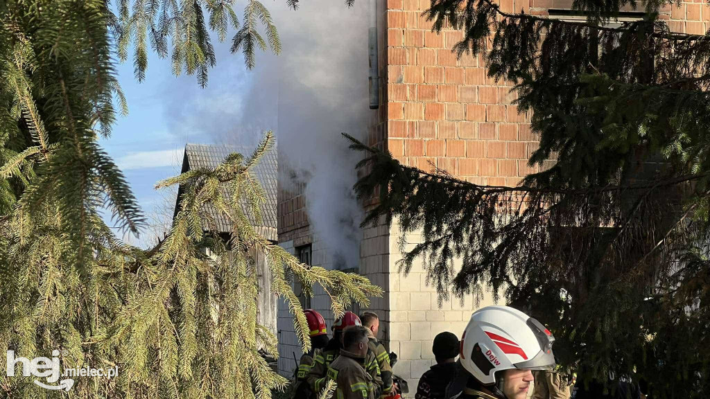 Pożar w Podleszanach, jedna osoba poszkodowana