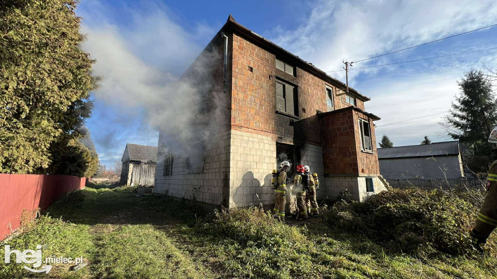 Pożar w Podleszanach, jedna osoba poszkodowana