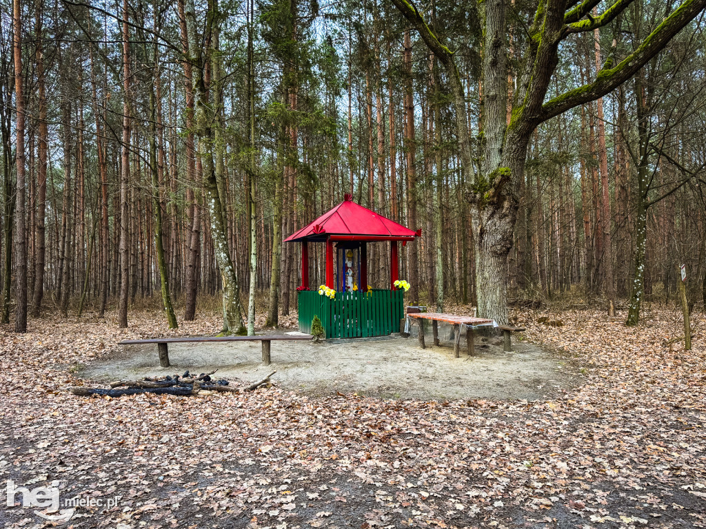 W Mikołajki poszliśmy do Świętego Mikołaja z Puszczy pod Mielcem