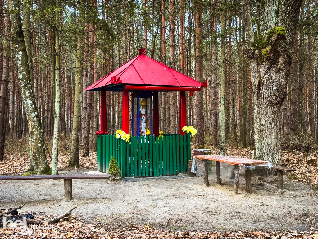 W Mikołajki poszliśmy do Świętego Mikołaja z Puszczy pod Mielcem