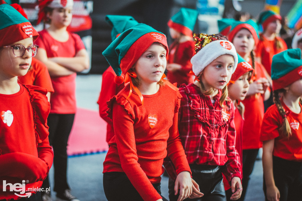 33. Finał WOŚP 2025 - południe w Hali MOSiR Mielec