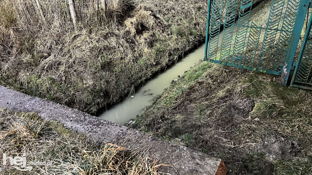 Znów doszło do skażenia potoku przy ulicy Inwestorów