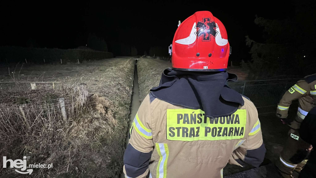 Znów doszło do skażenia potoku przy ulicy Inwestorów