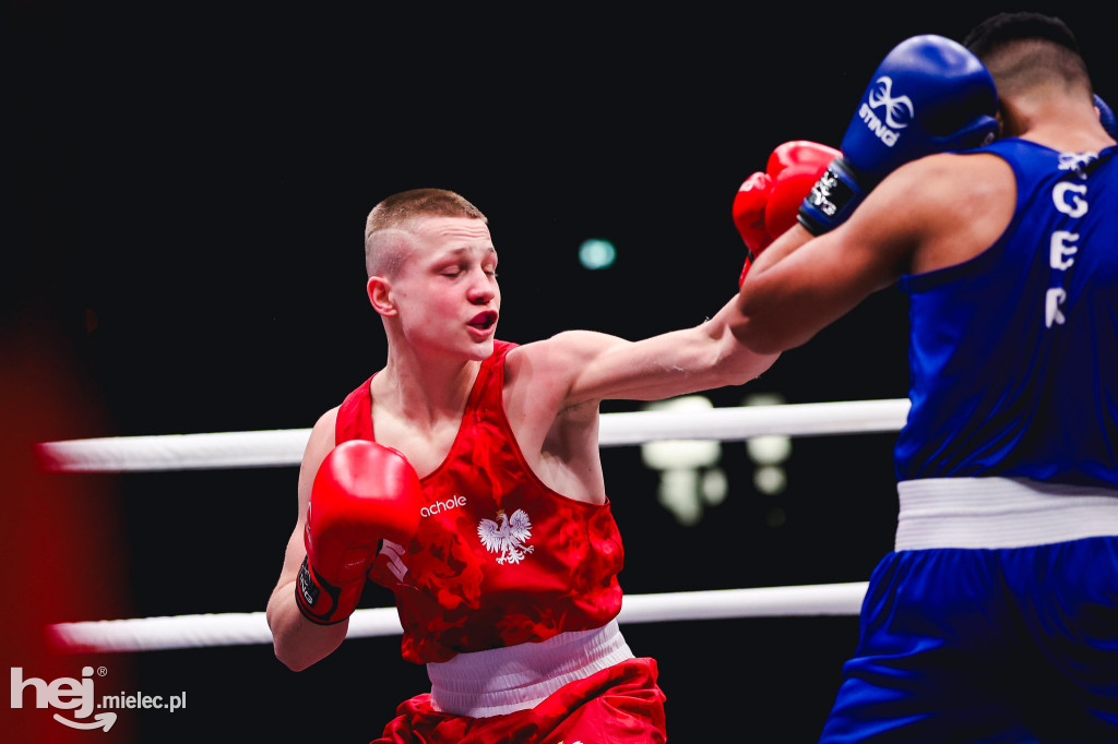 Suzuki Boxing Night: Polska - Niemcy