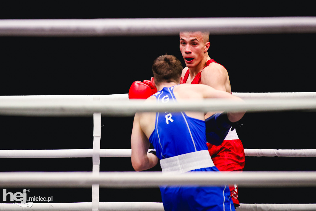 Suzuki Boxing Night: Polska - Niemcy