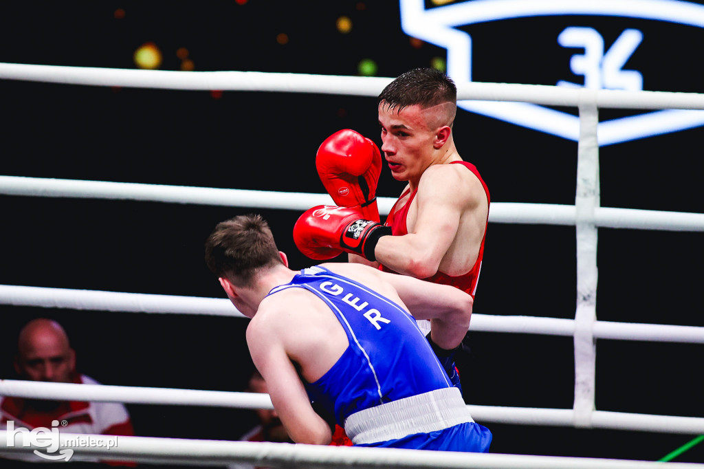 Suzuki Boxing Night: Polska - Niemcy