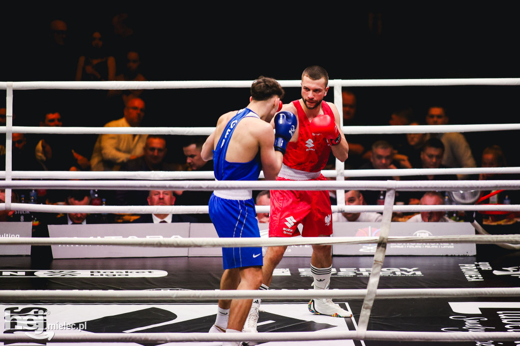 Suzuki Boxing Night: Polska - Niemcy