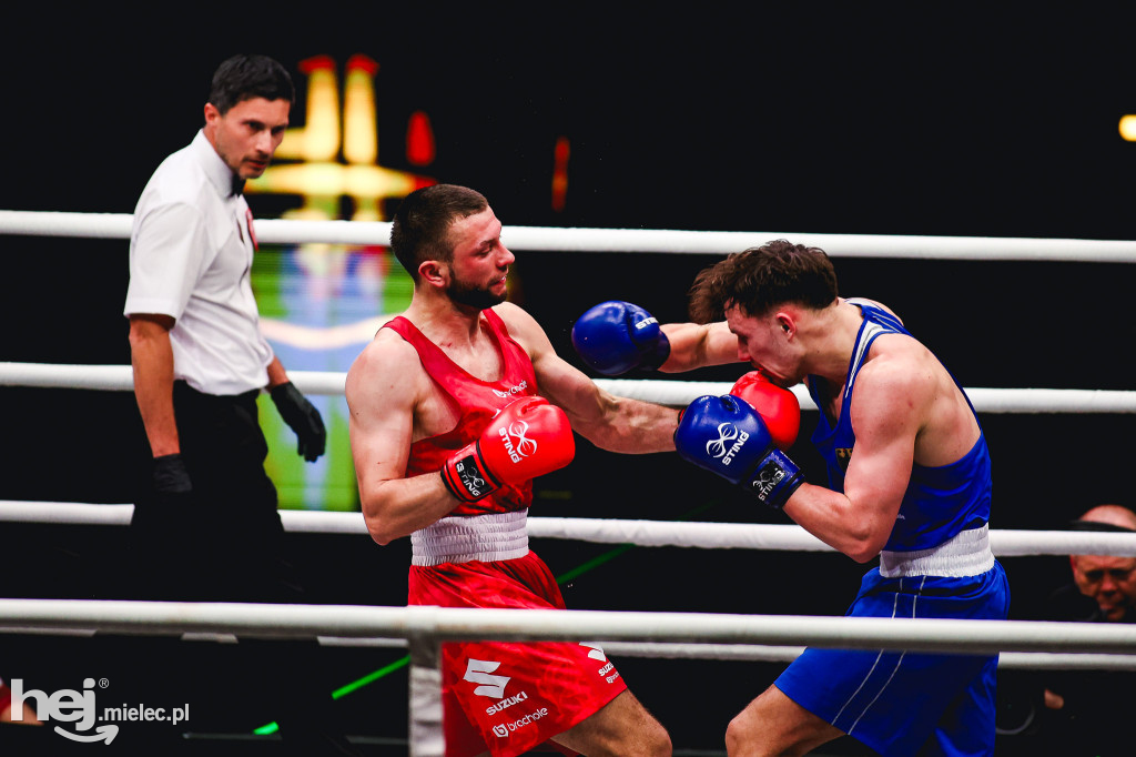 Suzuki Boxing Night: Polska - Niemcy