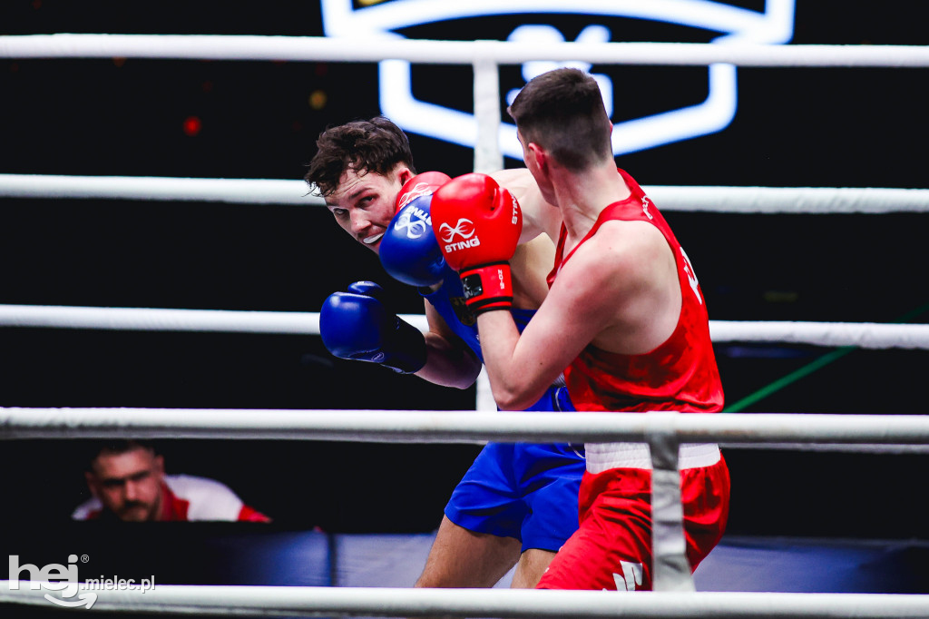 Suzuki Boxing Night: Polska - Niemcy