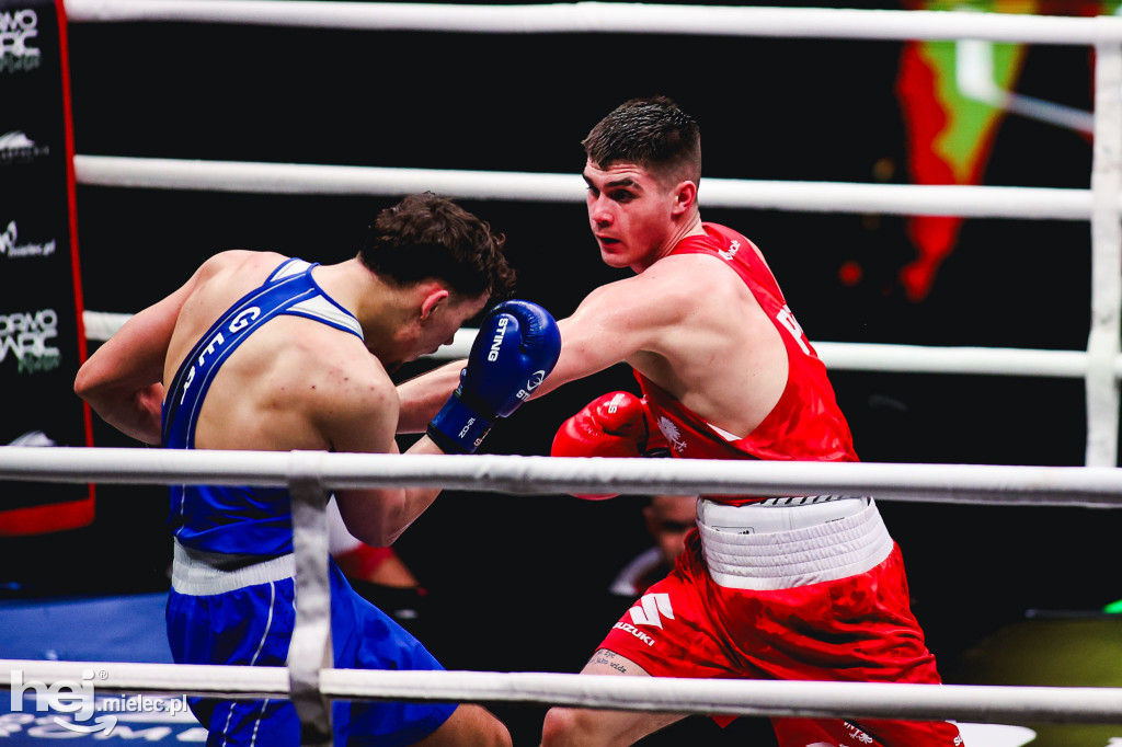 Suzuki Boxing Night: Polska - Niemcy