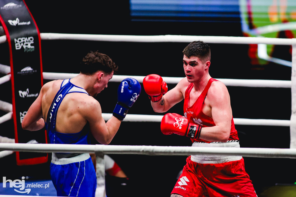 Suzuki Boxing Night: Polska - Niemcy