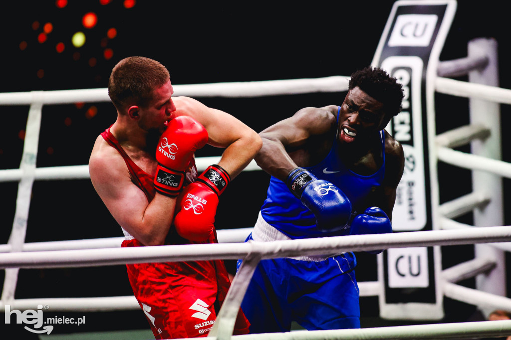 Suzuki Boxing Night: Polska - Niemcy