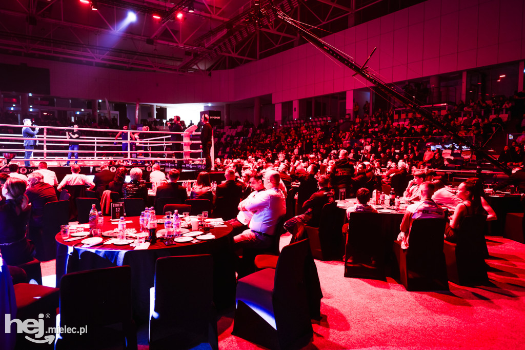 Suzuki Boxing Night: Polska - Niemcy