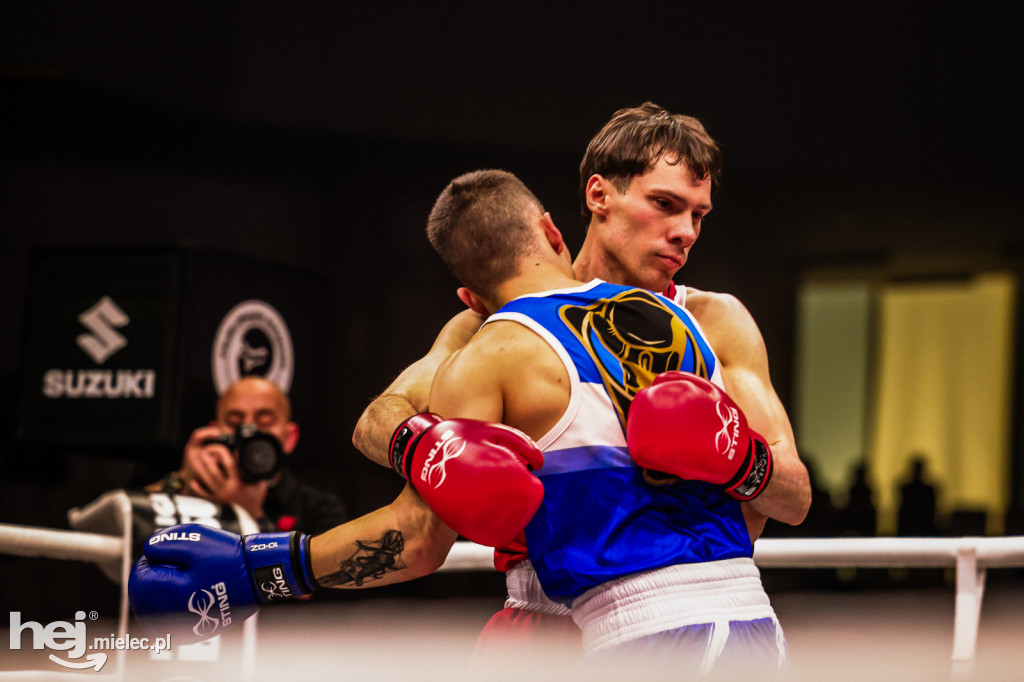 Suzuki Boxing Night: walki z udziałem mielczan