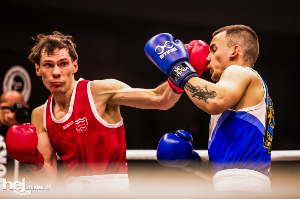 Suzuki Boxing Night: walki z udziałem mielczan