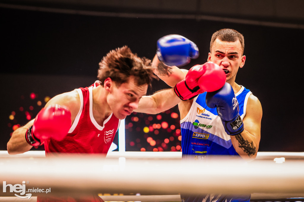 Suzuki Boxing Night: walki z udziałem mielczan