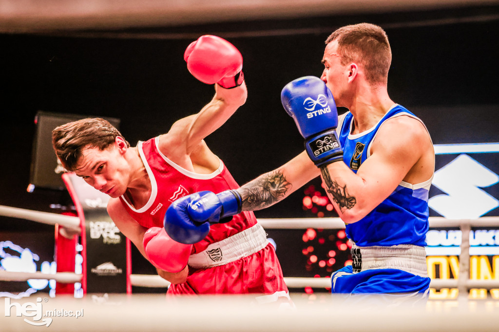 Suzuki Boxing Night: walki z udziałem mielczan