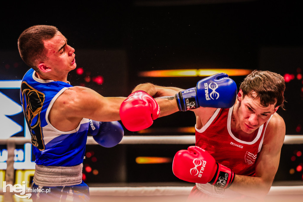 Suzuki Boxing Night: walki z udziałem mielczan