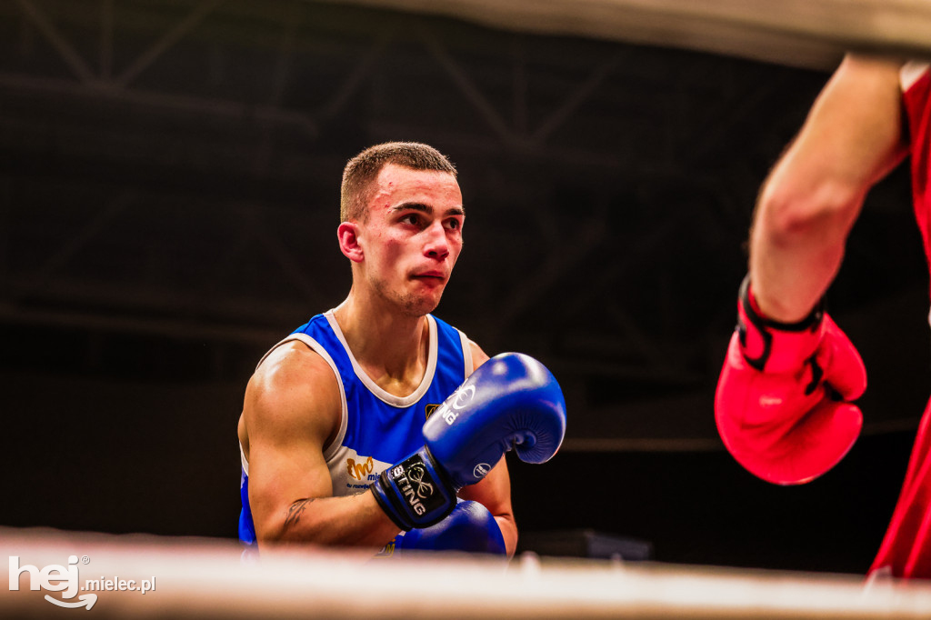 Suzuki Boxing Night: walki z udziałem mielczan