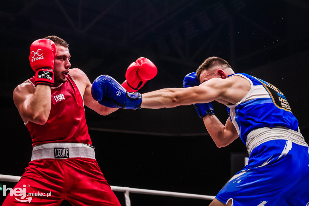 Suzuki Boxing Night: walki z udziałem mielczan