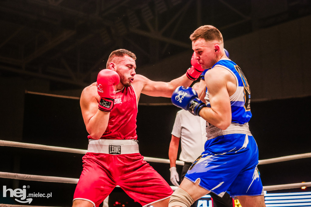 Suzuki Boxing Night: walki z udziałem mielczan