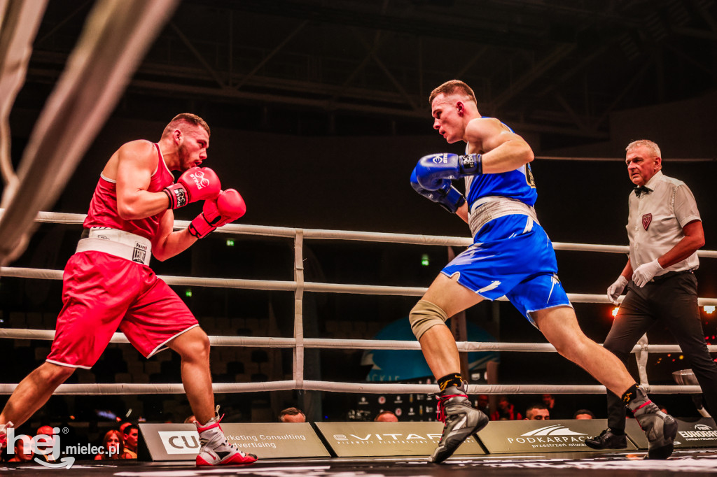 Suzuki Boxing Night: walki z udziałem mielczan