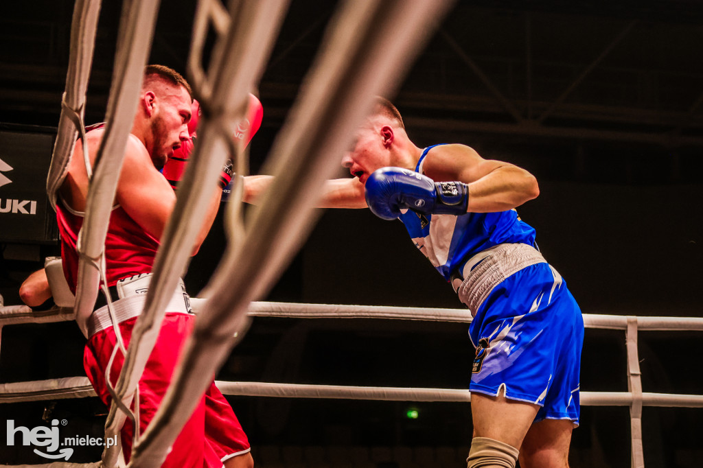 Suzuki Boxing Night: walki z udziałem mielczan