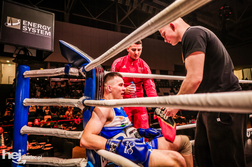 Suzuki Boxing Night: walki z udziałem mielczan