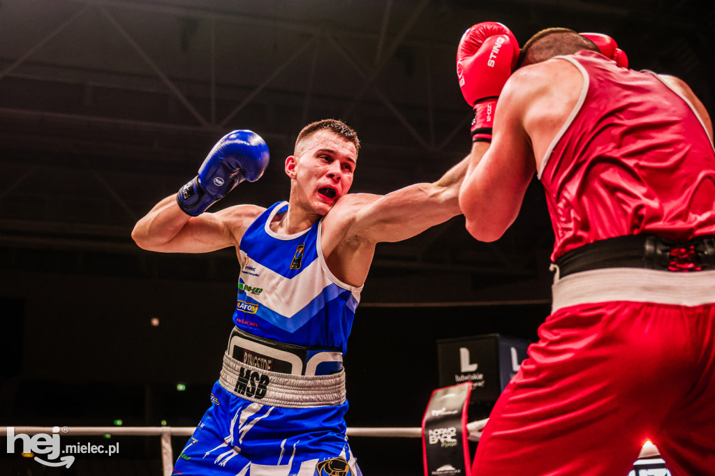 Suzuki Boxing Night: walki z udziałem mielczan