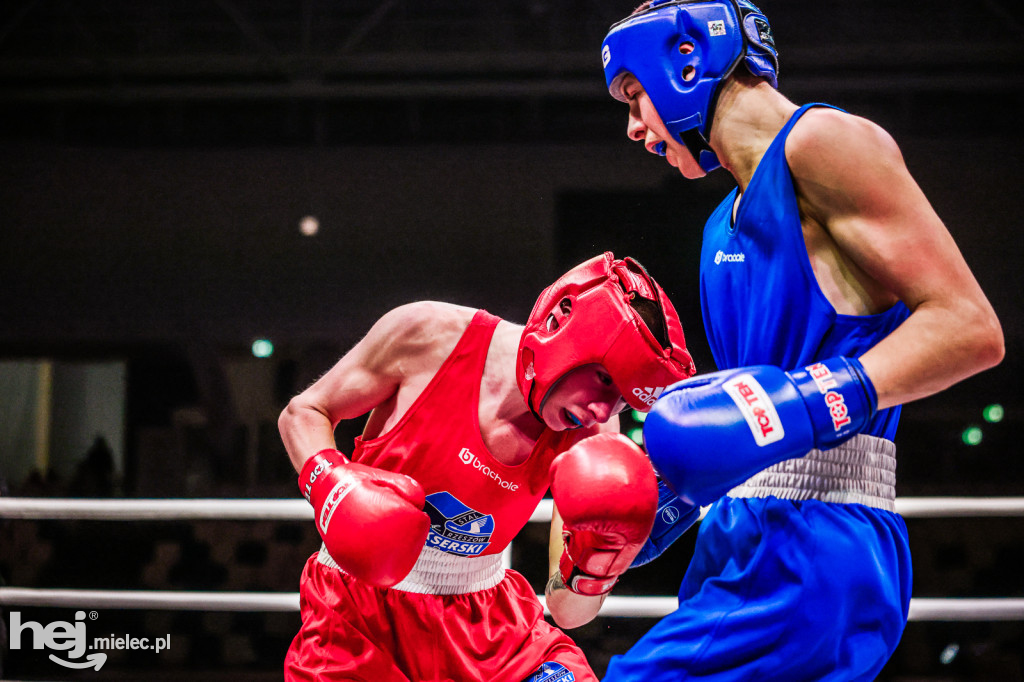 Suzuki Boxing Night: walki z udziałem mielczan