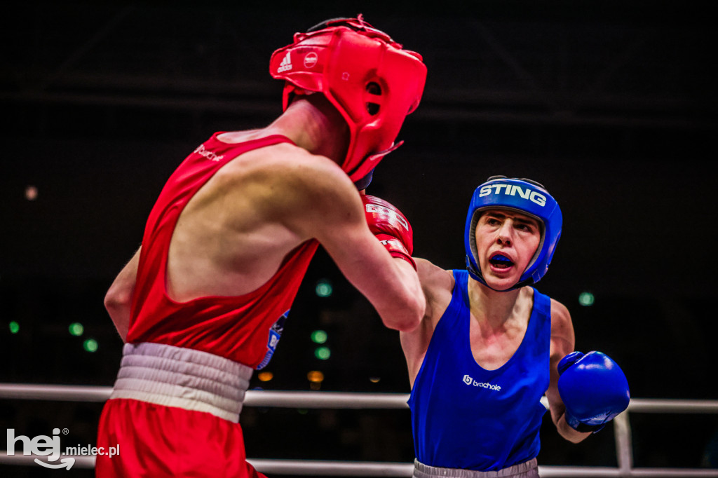 Suzuki Boxing Night: walki z udziałem mielczan