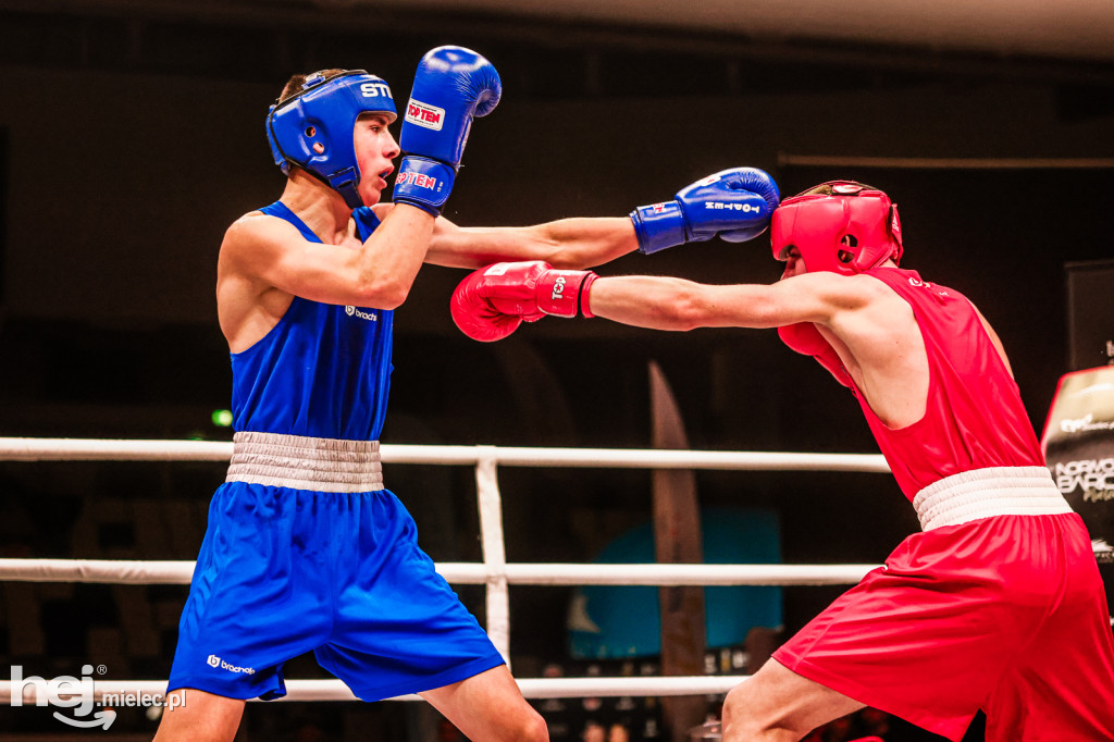 Suzuki Boxing Night: walki z udziałem mielczan