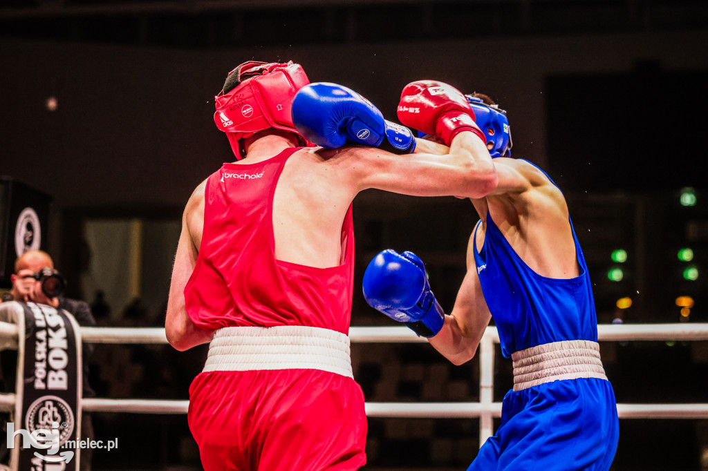 Suzuki Boxing Night: walki z udziałem mielczan