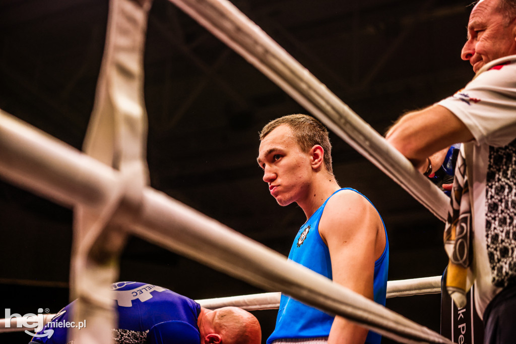 Suzuki Boxing Night: walki z udziałem mielczan