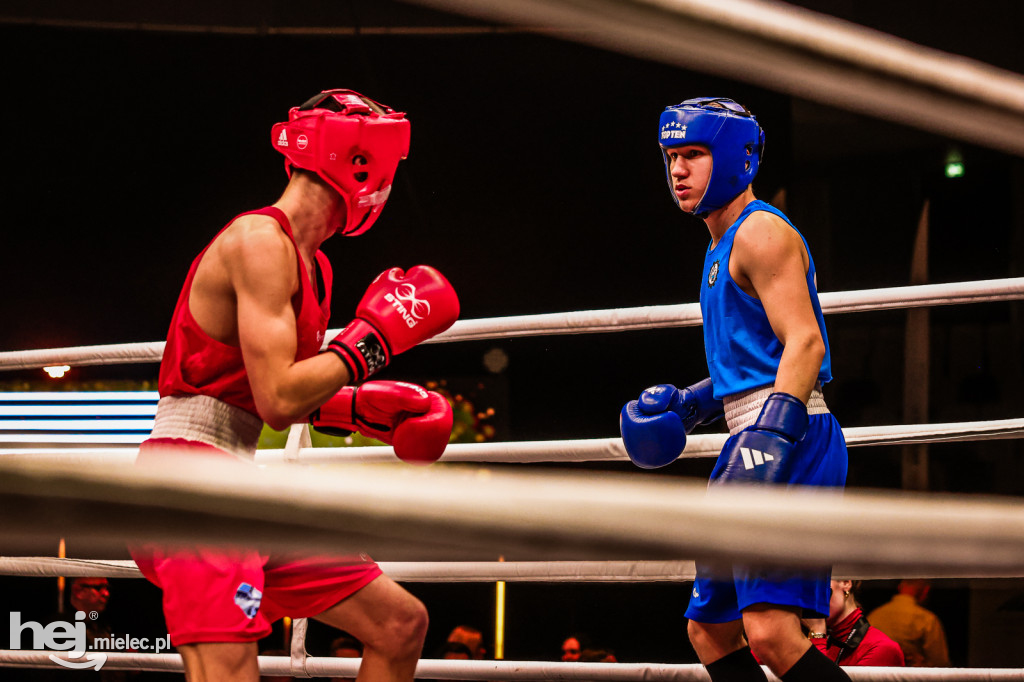 Suzuki Boxing Night: walki z udziałem mielczan