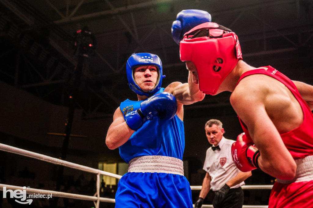 Suzuki Boxing Night: walki z udziałem mielczan