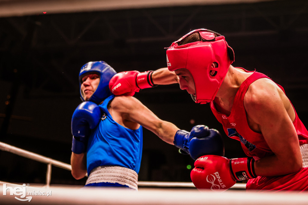 Suzuki Boxing Night: walki z udziałem mielczan