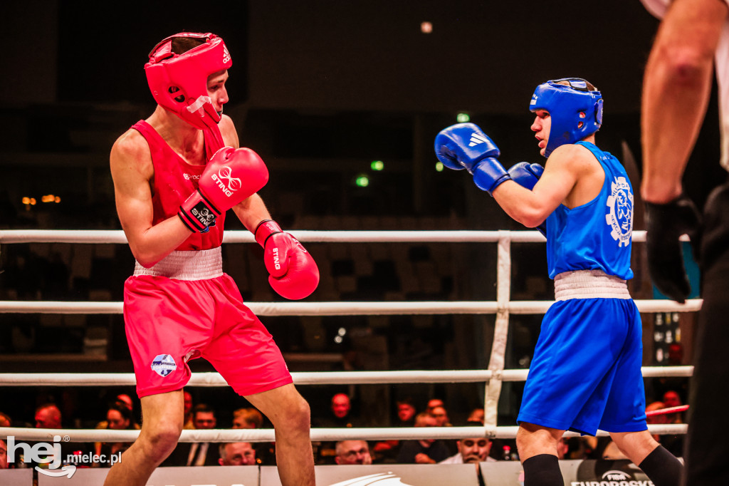 Suzuki Boxing Night: walki z udziałem mielczan