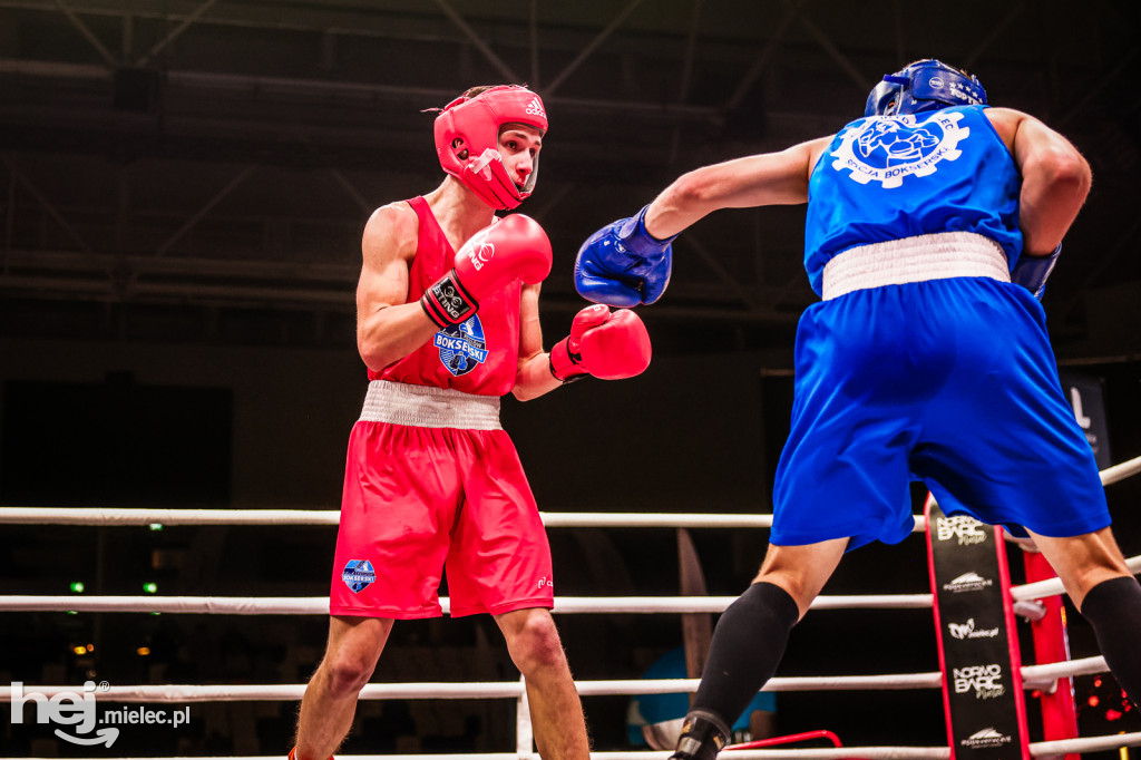 Suzuki Boxing Night: walki z udziałem mielczan