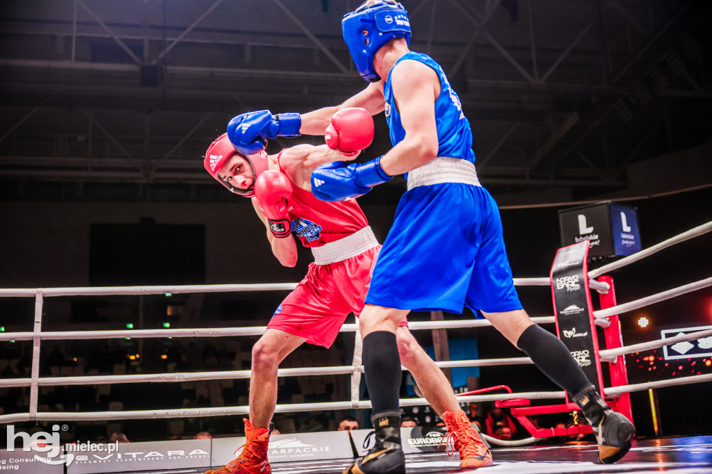 Suzuki Boxing Night: walki z udziałem mielczan