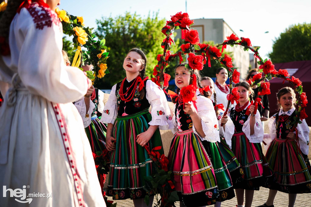 Rzeszowiacy na Górce Cyranowskiej