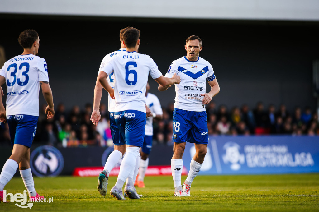 Puszcza Niepołomice - FKS Stal Mielec