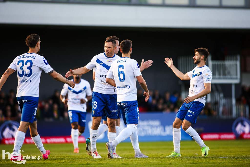 Puszcza Niepołomice - FKS Stal Mielec